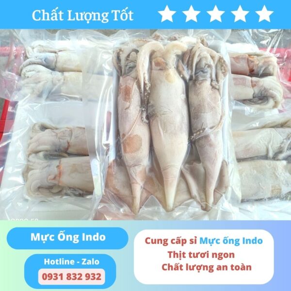 Mực ống indo