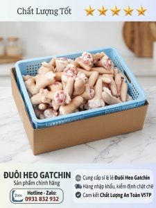 duoi-heo-Gatchin-gia-si